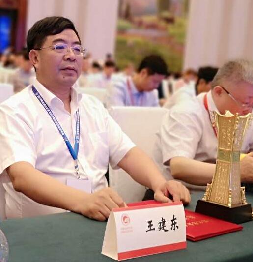 全国优秀企业家,新十建设集团董事长王建东